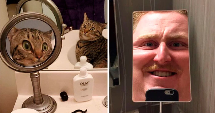 112 Funny Mirror Pics To Learn Some Photography Skills From