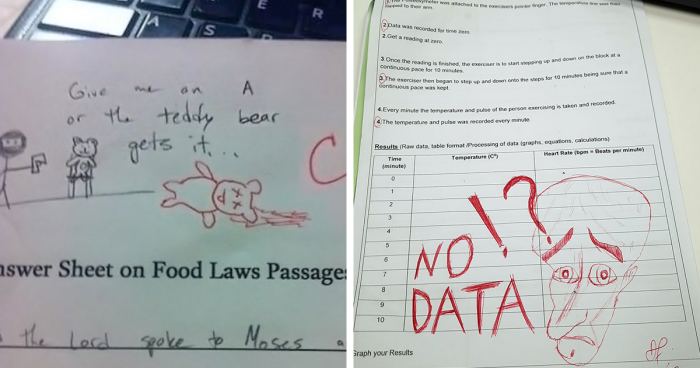 82 Teachers Who Showed That Learning Can Be Fun By Adding Hilarious Comments And Drawings To Their Students' Tests