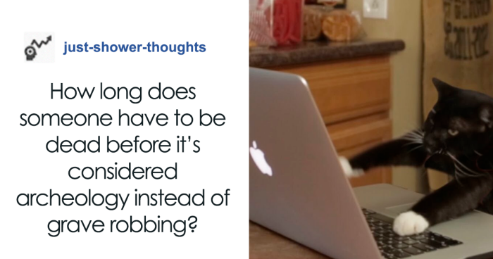 69 Funny Conversations On Tumblr That Might Make You Rethink Some Stuff