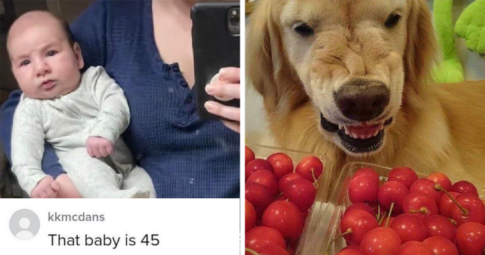 95 Funny Memes To Share With Your Friends, As Shared By This Facebook Page