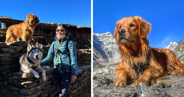 Hiking With My Two Dogs Is My Biggest Passion, Here Are Some Highlights Of Our Tsho Rolpa Glacial Lake Adventure