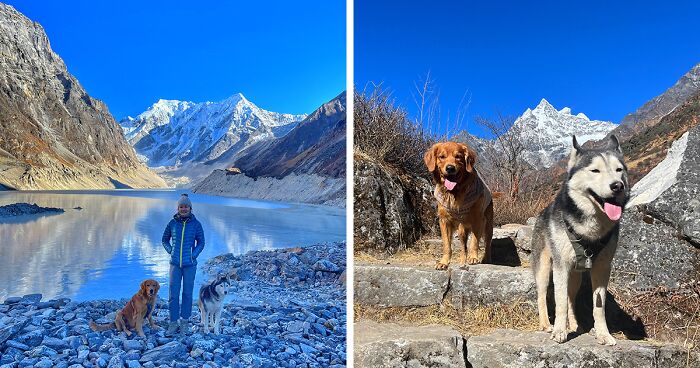 Hiking With My Two Dogs Is My Biggest Passion, Here Are Some Highlights Of Our Tsho Rolpa Glacial Lake Adventure