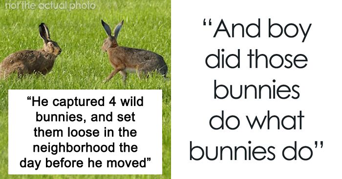 Dad Takes Revenge On HOA After They Make His Daughter Get Rid Of Pet Bunnies By Introducing Wild Bunnies To The Neighborhood, Creating A 