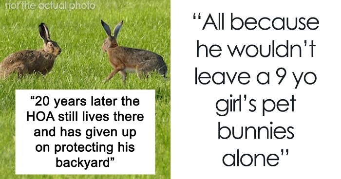 Dad Catches 4 Wild Bunnies And Sets Them Free In His Neighborhood As Revenge On HOA Who Made His Daughter Get Rid Of Her Pet Bunnies