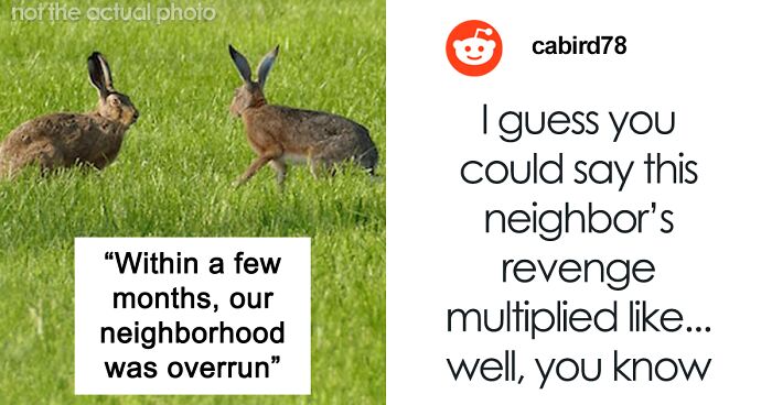 Father Gets Sweet Revenge On HOA After They Make His Daughter Get Rid Of Beloved Pets, Releases Wild Bunnies In The Neighborhood And Watches Them Take Over