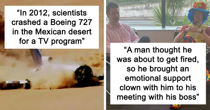 77 Random Facts Shared On This Instagram Account To Make You Question Everything