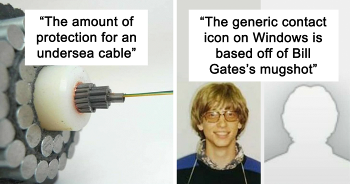 89 Interesting Bits Of Trivia To Impress Your Friends, As Shared By This Instagram Account