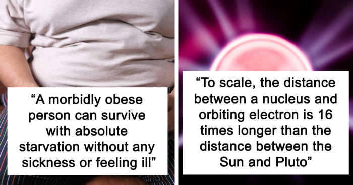 People Are Sharing Facts That Sound Fake But Are Totally True, Here Are 77 Of The Most Baffling Ones