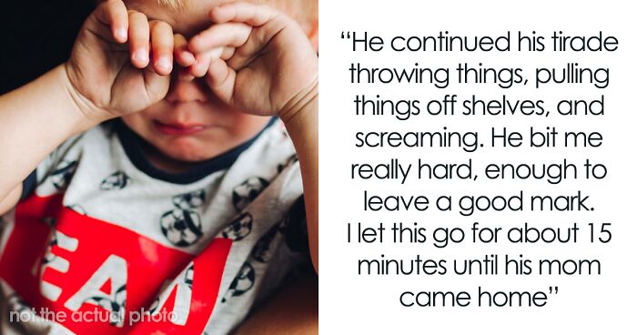 Mom Chooses Not To Discipline Her Toddler, Nanny Decides To Let Her Learn The Hard Way After He Throws A Tantrum