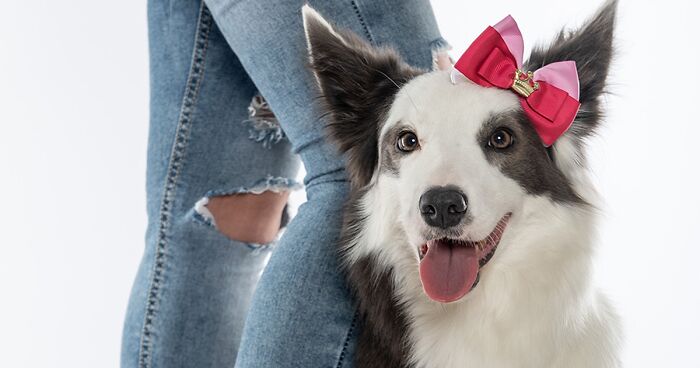 I Photographed Pets Next To Their Owners’ Feet To Show How Well They Match (27 Pics)