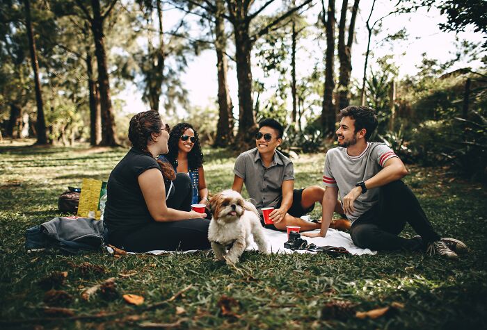 Group Of Friends And A Dog On A Picnic 