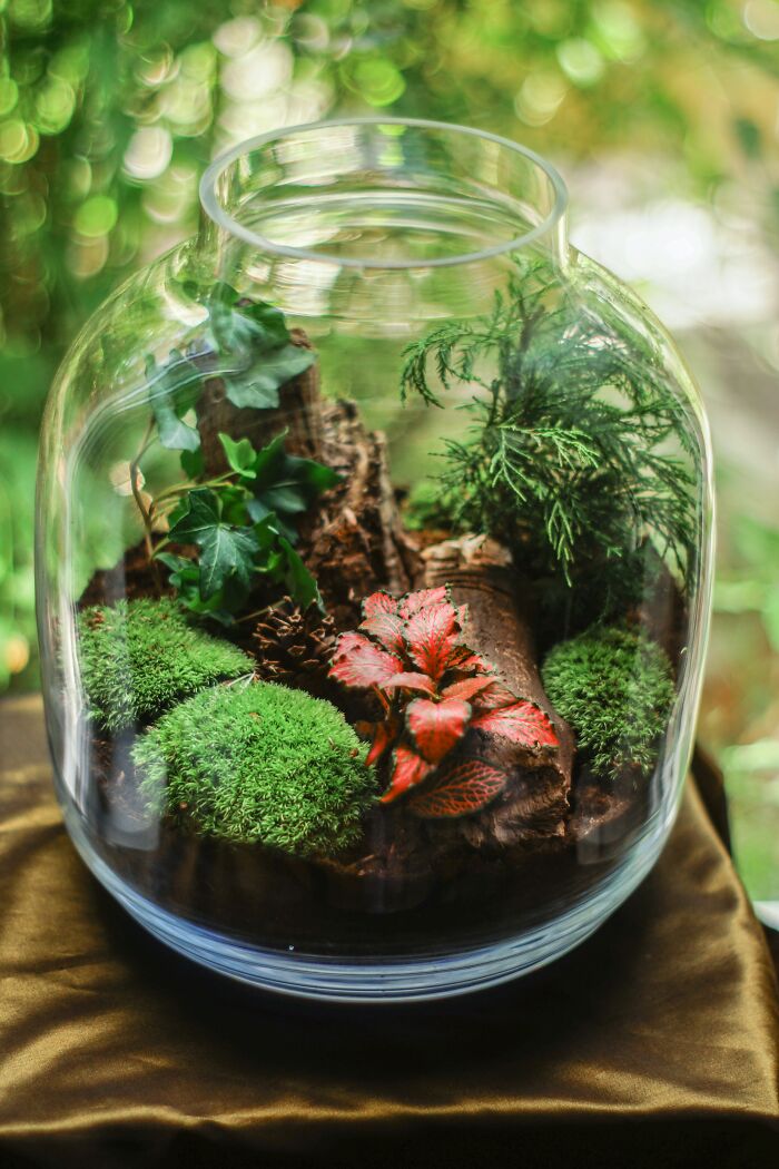 Handmade Terrariun 