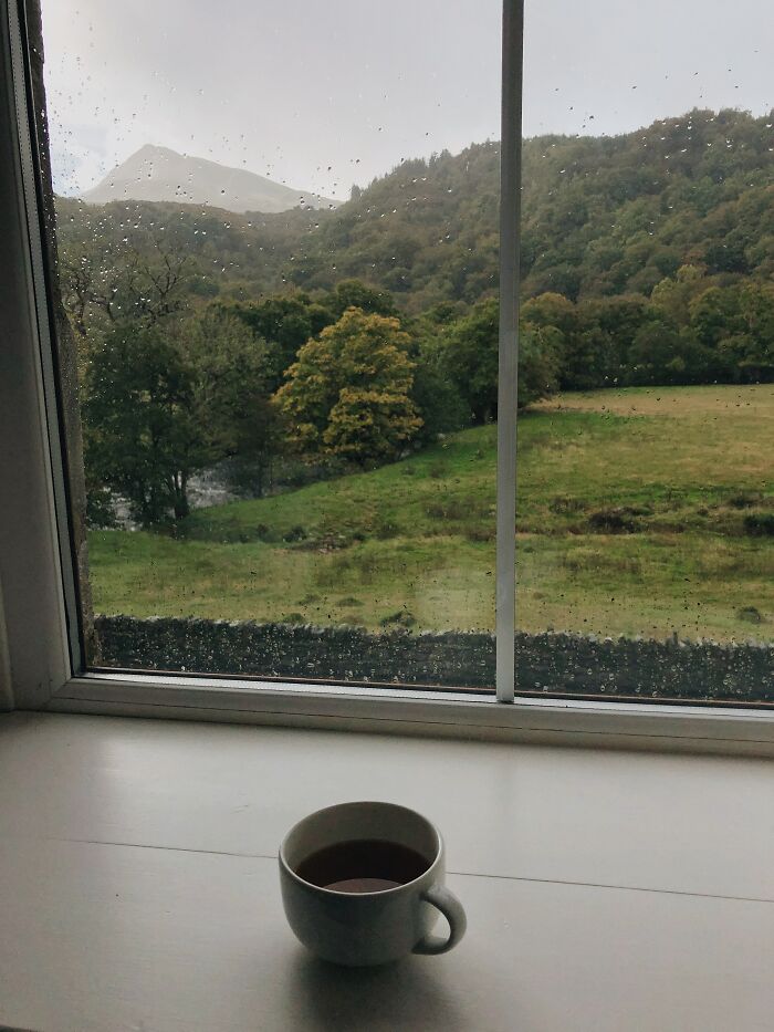 Cozy View From Window With A Cup Of Tea 