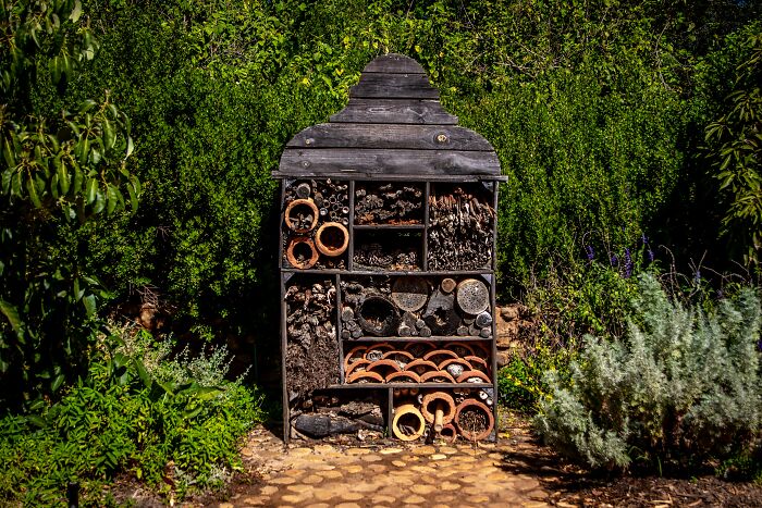 Insect Hotel In The Forest 