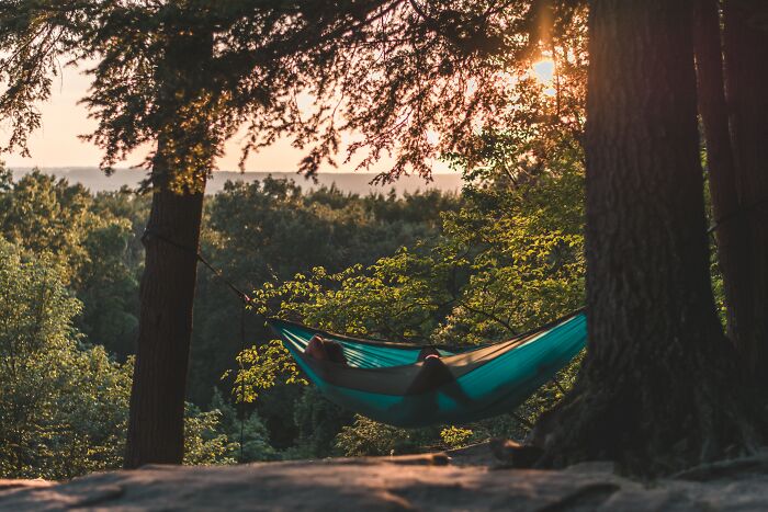 Person Laying In Hammock In Forrest At Sunrise 