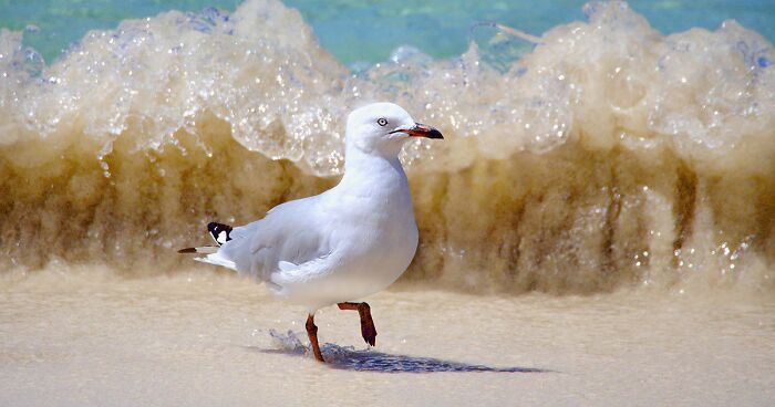 I Discovered The Gift Of Photography Just As I Was Diagnosed With Cancer Affecting My Sight, Here Are 14 Of My Best Nature Photos