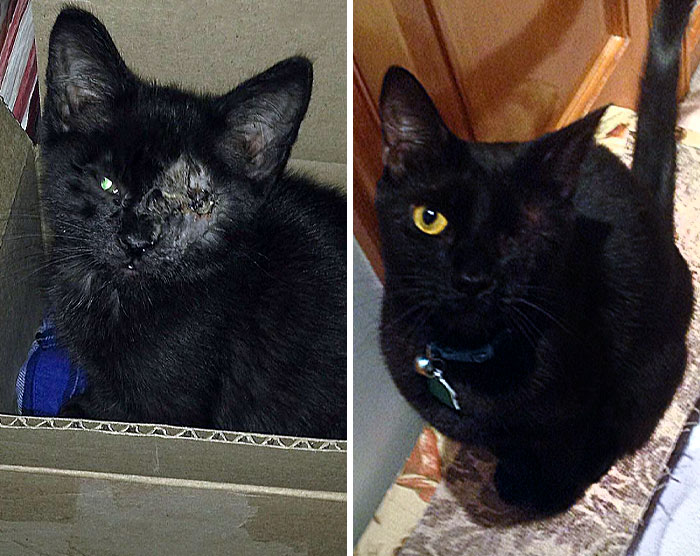 1 Week As My Foster Baby vs. 3 Years Old As My Handsome Rescue Bubba