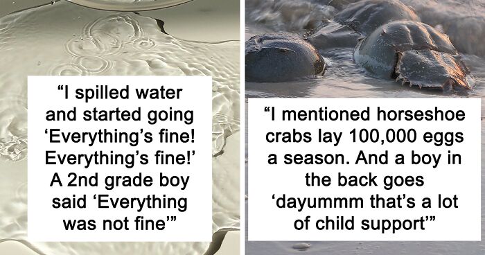 47 Teachers Share The Funniest Things Their Students Have Ever Said