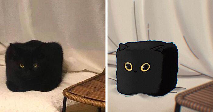 Cute Images Of Cats Look Even Cuter In These 31 Hilarious Recreations By This Illustrator