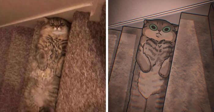 31 Hilarious Cat Pictures Recreated Into Comical Illustrations By This Artist