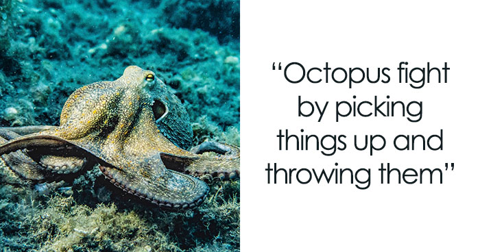 40 Weird Animal Behaviors That Are As Weird As They Are Impressive