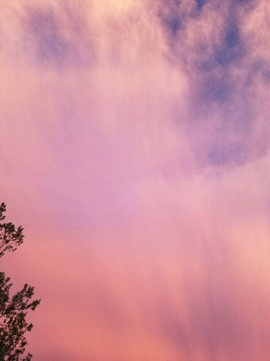 I Took These Just Outside My House A Few Minutes Ago. I Dub The The Missouriborealis