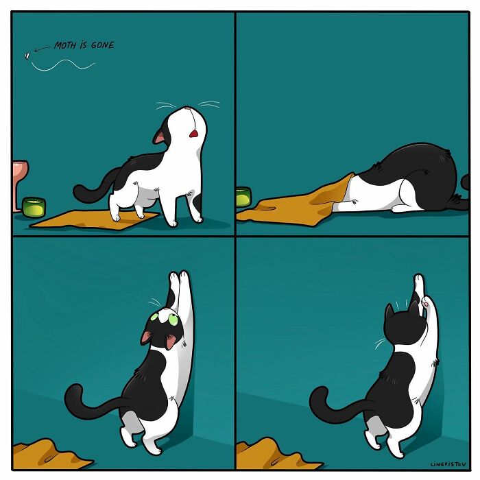 46 New Hilarious Comics About The Realistic Life Of Cat Owners