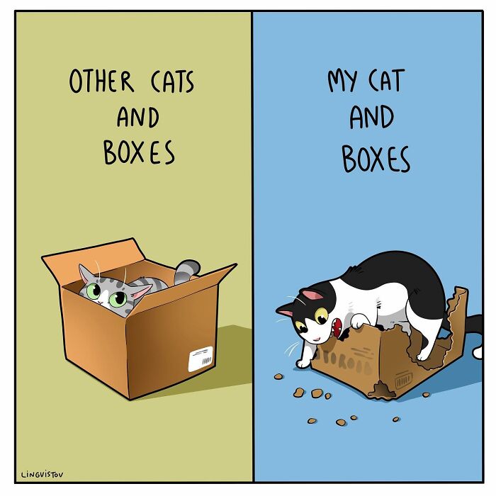 46 New Hilarious Comics About The Realistic Life Of Cat Owners