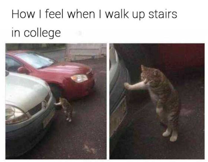 Funny-College-Memes-Humor-State-University