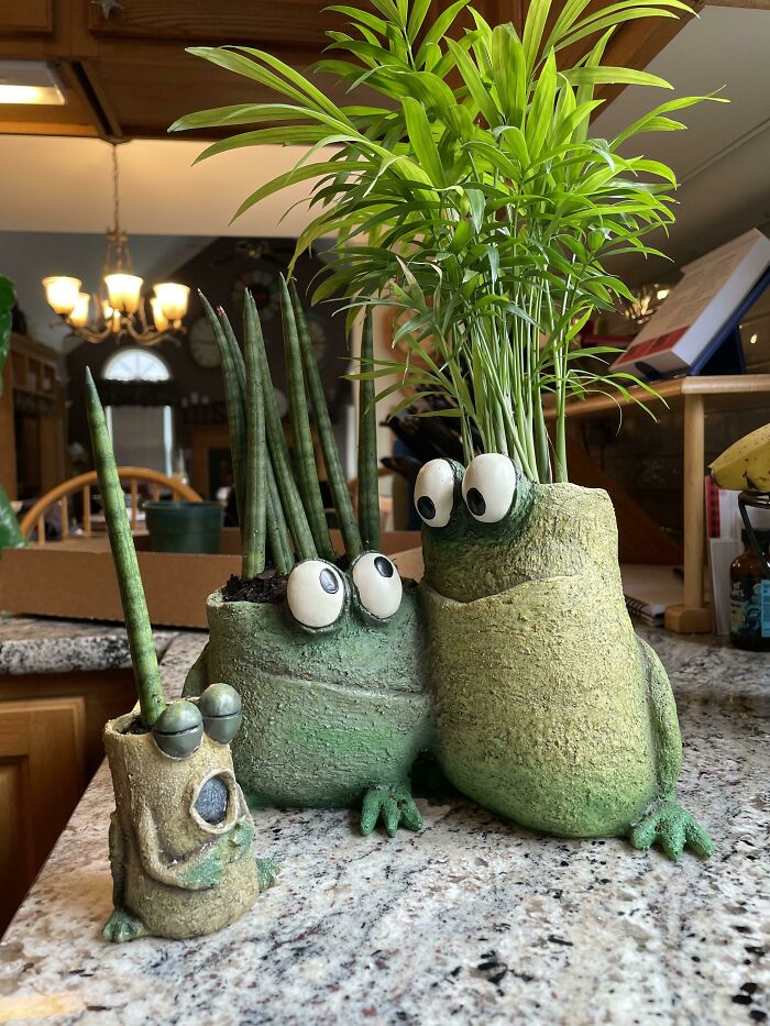 Pair of Plants Artist Pairs Pant Pots with Houseplants - Sunset Magazine