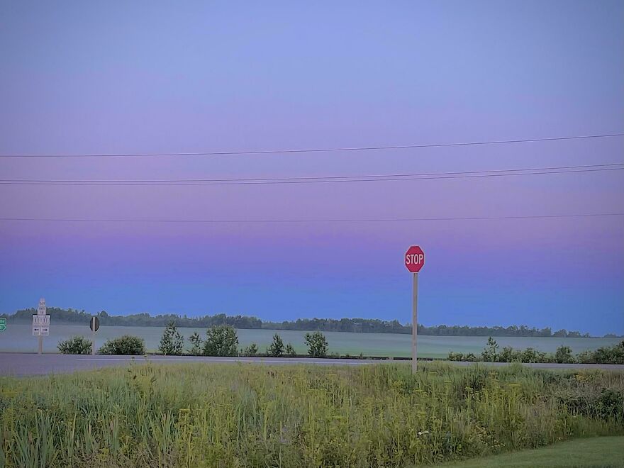 The Field Across From My House