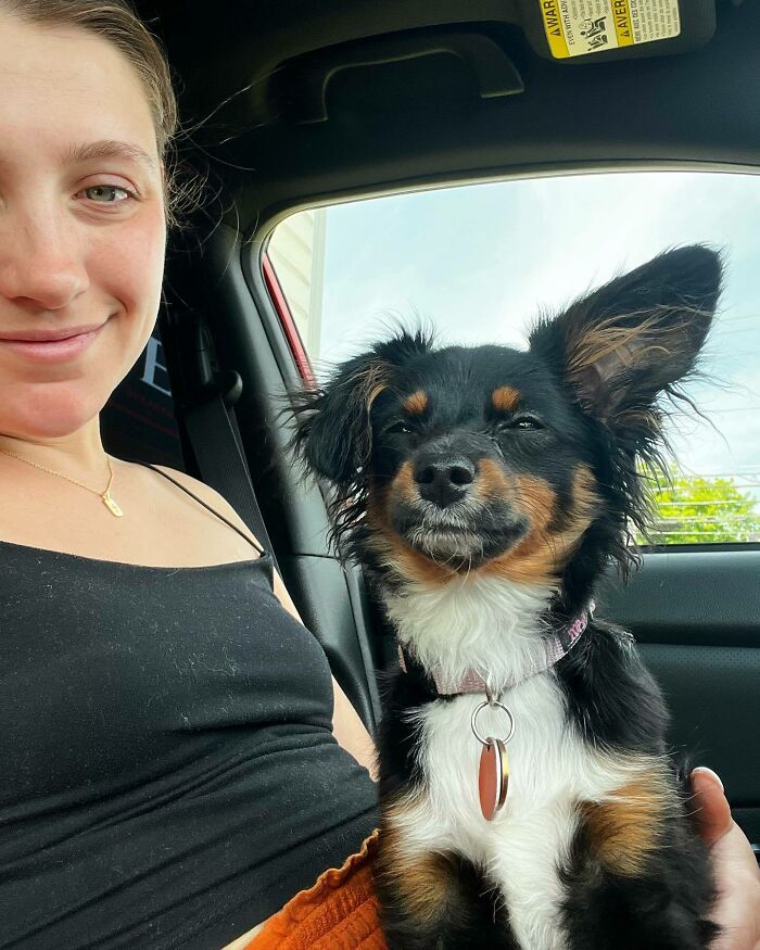 White and black dog looking and smiling with person near him