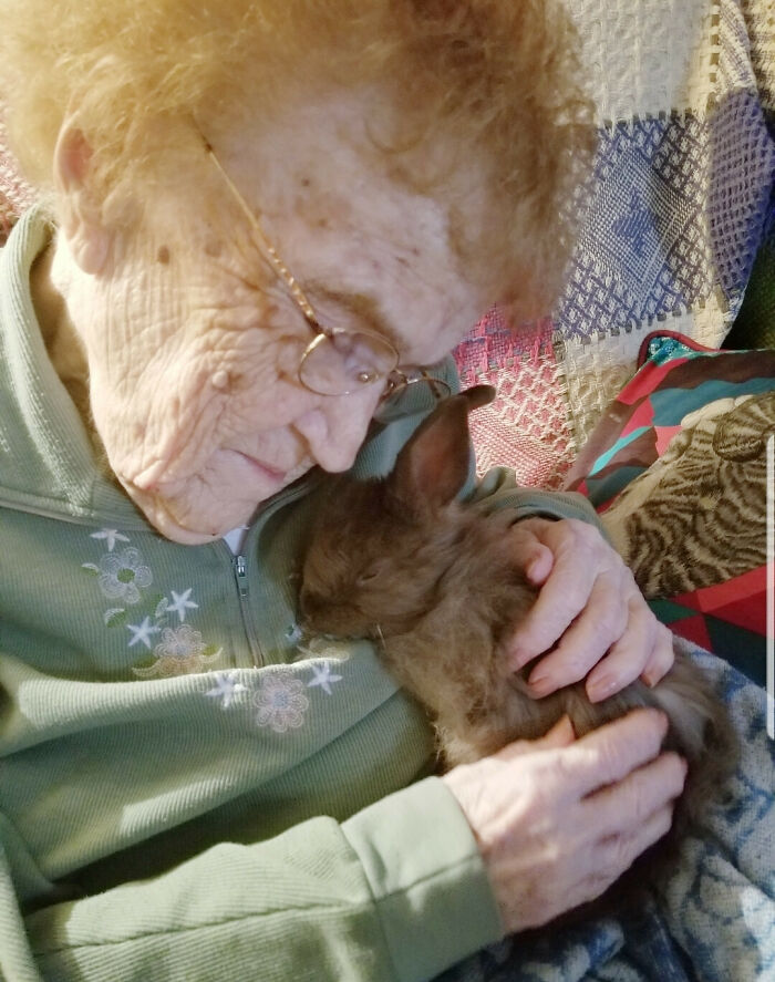 I Brought One Of My Baby Bunnies To Meet My Great-Grandmother
