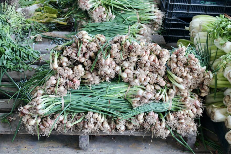 I Photographed A Day At A Wholesale Market In Lima, Peru (36 Pics)