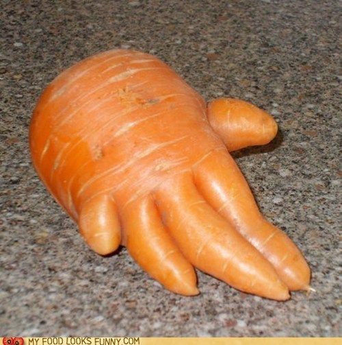 Carrot-647571e08f17c.jpg