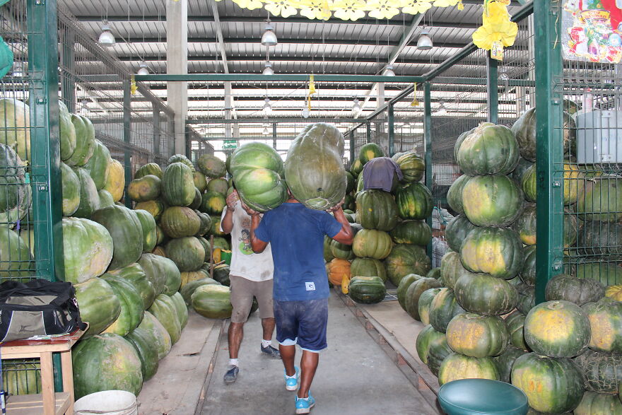 I Photographed A Day At A Wholesale Market In Lima, Peru (36 Pics)