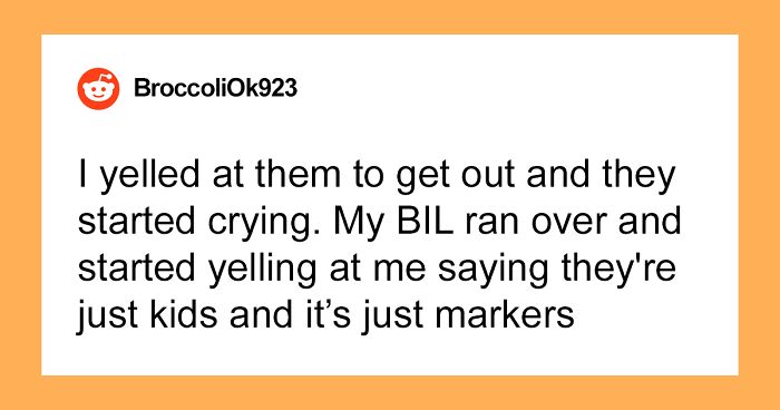 Artist Is Devastated After Finding Expensive Markers Completely Ruined By BIL’s Young Kids, Decides To Sue For Damages After They Refuse To Take Any Of The Blame