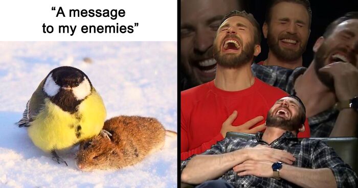 39 Side-Splitting Memes That Drew Inspiration From Birds