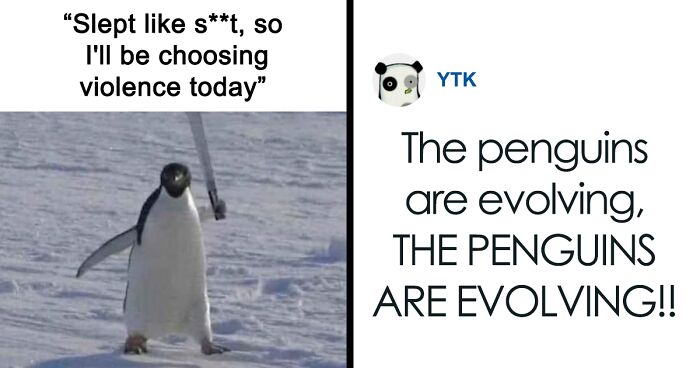 39 Giggle-Worthy Memes Where Birds Took Center Stage