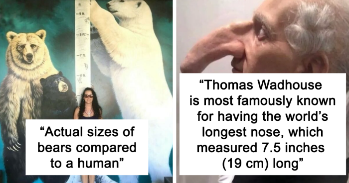 This Instagram Account Shares Fascinating Fun Facts You Probably Didn’t Learn In School, Here Are 54 Of Their Best Posts