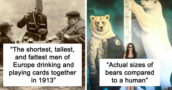 This Instagram Account Shares Fascinating Fun Facts You Probably Didn’t Learn In School, Here Are 50 Of Their Best Posts