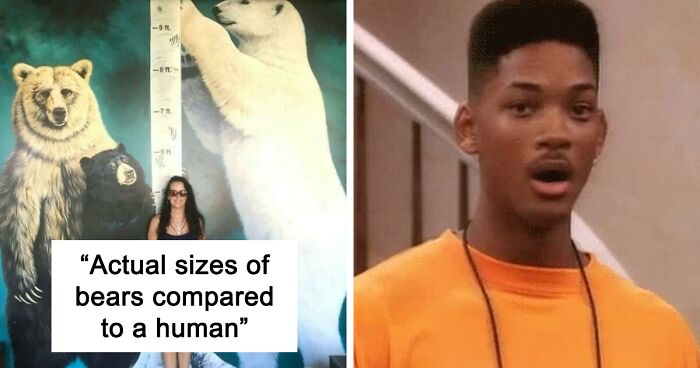 54 Amazing Facts That Might Change Your Perspective On Things, As Shared On This Instagram Page