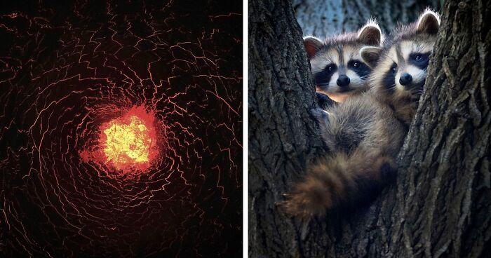 Here Are The Winners Of The International Photo Awards 2022 Who Took Stunning Images Of Nature (20 Pics)