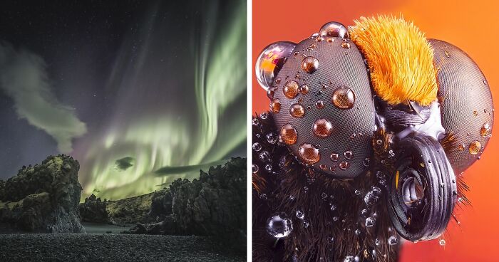 Nature Photography: 20 Winning Images Of The International Photo Awards 2022