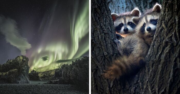 20 Winning Nature Images Of The International Photo Awards 2022