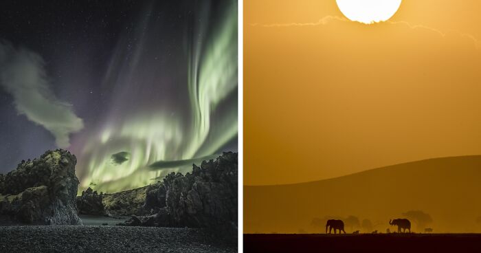 Nature Photography: 20 Winning Images Of The International Photo Awards 2022