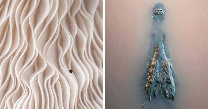 31 Of The Most Stunning Pics That Nailed The Close-Up Photographer Of The Year 2022's 