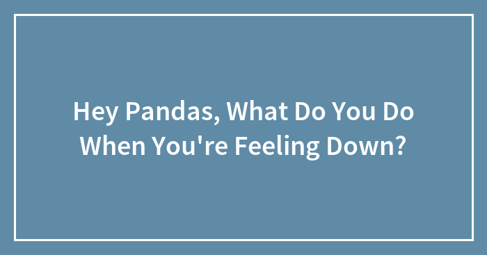 Hey Pandas, What Do You Do When You’re Feeling Down? (Closed)