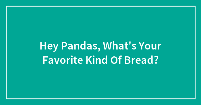 Hey Pandas, What’s Your Favorite Kind Of Bread?