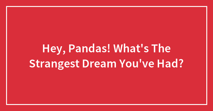 Hey, Pandas! What’s The Strangest Dream You’ve Had?